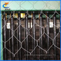 (PVC / quente / elétrico) Gabion Wire Mesh (6 * 8 8 * 10)